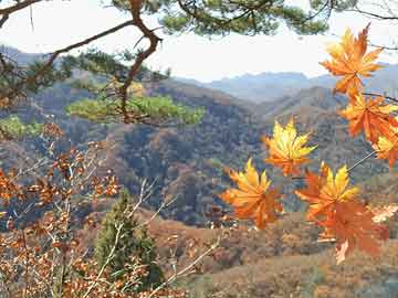 三游記，探索神秘世界的奇幻之旅——最新下載地址