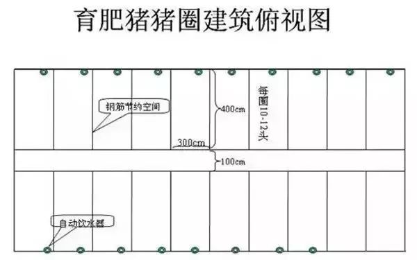 農(nóng)村現(xiàn)代化豬舍建設(shè)實拍，展現(xiàn)最新養(yǎng)殖技術(shù)風(fēng)采的圖片集