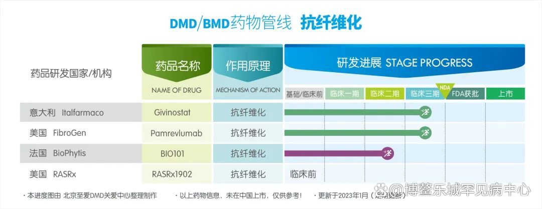 DMD最新藥物研究進(jìn)展揭秘，探索前沿研究成果與突破進(jìn)展