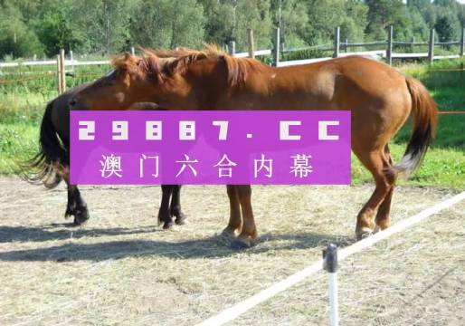 4949澳門特馬今晚開獎(jiǎng)53期｜數(shù)據(jù)解答解釋落實(shí)