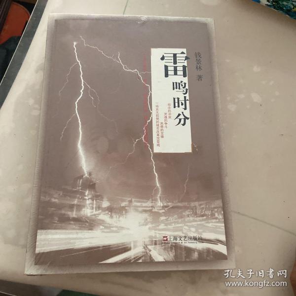 雷鳴新作，探索有聲小說(shuō)的魅力——最新解讀