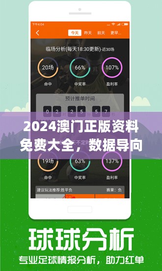 2024澳門正版精準(zhǔn)免費(fèi)大全｜決策資料解釋落實(shí)