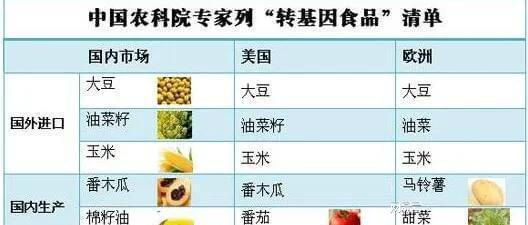 最新轉(zhuǎn)基因食品清單及其潛在影響概述