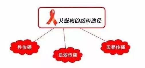 最新艾滋感染排除時(shí)間的研究與探討，探索最新排除時(shí)間界限