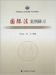 國際法最新案例研究，探索前沿實踐中的法律挑戰(zhàn)